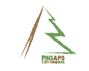 Logo pinsapo CxM
